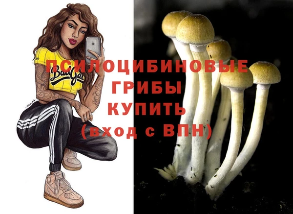 круглые Алексин