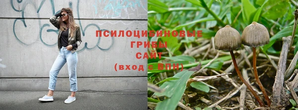 круглые Алексин